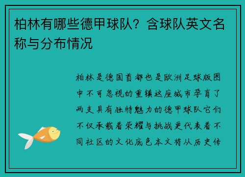 柏林有哪些德甲球队？含球队英文名称与分布情况