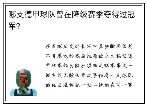 哪支德甲球队曾在降级赛季夺得过冠军？